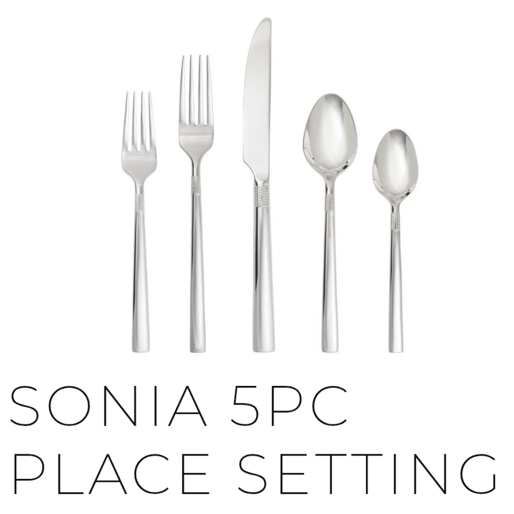 SONIA 5 Pc. Place Setting By Fortessa, Boxed, Retail Price $42.00US